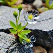 ヒメ日記 2025/10/15 03:57 投稿 濱名 美希 こあくまな熟女たち 鶯谷・日暮里店(KOAKUMAグループ)