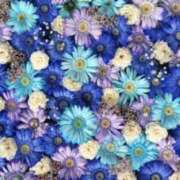 ヒメ日記 2025/10/15 18:34 投稿 濱名 美希 こあくまな熟女たち 鶯谷・日暮里店(KOAKUMAグループ)