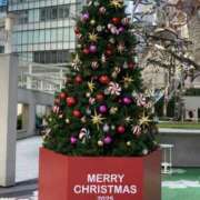 ヒメ日記 2025/12/24 18:26 投稿 濱名 美希 こあくまな熟女たち 鶯谷・日暮里店(KOAKUMAグループ)