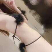 ヒメ日記 2025/05/30 14:04 投稿 鈴野ひとみ Claris Tokyo～クラリス東京～