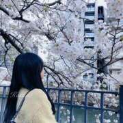 ヒメ日記 2025/04/15 00:06 投稿 かすみ 横浜泡洗体デラックスエステ