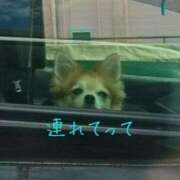 ヒメ日記 2025/01/06 21:09 投稿 はるな 熟女の風俗最終章　越谷店