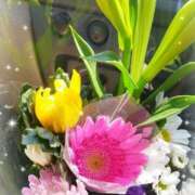 ヒメ日記 2025/06/19 21:04 投稿 はるな 熟女の風俗最終章　越谷店