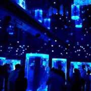 ヒメ日記 2025/06/15 19:42 投稿 はるな 熟女の風俗最終章 西川口店