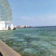 ヒメ日記 2025/08/24 13:12 投稿 はるな 熟女の風俗最終章 西川口店