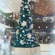 ヒメ日記 2025/12/18 19:42 投稿 はるな 熟女の風俗最終章 西川口店