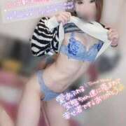 ヒメ日記 2024/12/12 23:02 投稿 ねね 男爵