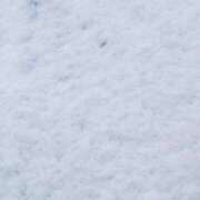 ヒメ日記 2025/03/03 15:24 投稿 ねね 男爵