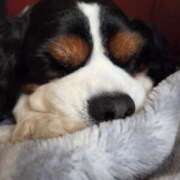 ヒメ日記 2025/04/21 18:33 投稿 ねね 男爵