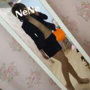 ヒメ日記 2025/09/13 08:51 投稿 ねね 男爵