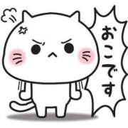 ヒメ日記 2025/09/15 11:47 投稿 ねね 男爵