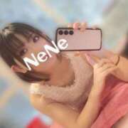 ヒメ日記 2025/10/09 09:51 投稿 ねね 男爵