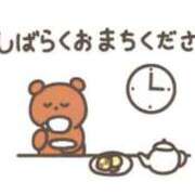 ヒメ日記 2026/06/11 05:37 投稿 ねね 男爵