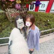 ヒメ日記 2025/01/22 15:31 投稿 まる ハイ・チュッ