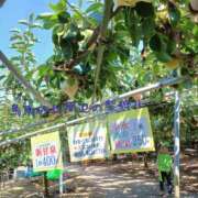 ヒメ日記 2025/08/22 22:24 投稿 かのん モアグループ宇都宮人妻花壇