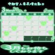 ヒメ日記 2026/02/25 15:43 投稿 かのん モアグループ宇都宮人妻花壇