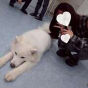 ヒメ日記 2025/05/26 15:45 投稿 流星　ひかる Amateras～アマテラス～