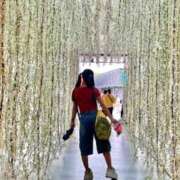 ヒメ日記 2025/07/18 19:16 投稿 流星　ひかる Amateras～アマテラス～