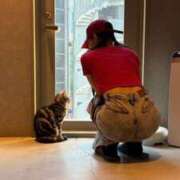 ヒメ日記 2025/09/19 08:47 投稿 流星　ひかる Amateras～アマテラス～