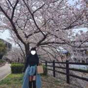 ヒメ日記 2026/04/02 18:03 投稿 流星　ひかる Amateras～アマテラス～