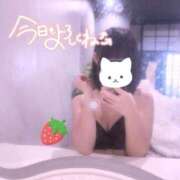 ヒメ日記 2026/09/28 13:44 投稿 星野いちご 癒したくて成田店～日本人アロマ性感～