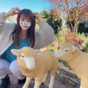 ヒメ日記 2024/12/22 07:18 投稿 ちなつ ノーパンエステ!?絶頂させる天使たち