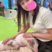 ヒメ日記 2025/04/20 00:08 投稿 ちなつ ノーパンエステ!?絶頂させる天使たち