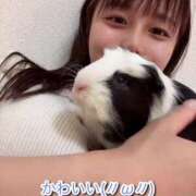 ヒメ日記 2025/04/30 11:28 投稿 ちなつ ノーパンエステ!?絶頂させる天使たち