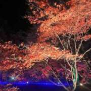 ヒメ日記 2025/12/11 23:45 投稿 まいか 池袋夢幻