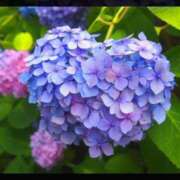 あいり 【お礼写メ日記】 MORE