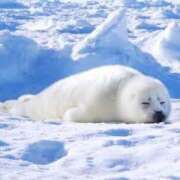 ヒメ日記 2025/10/13 10:08 投稿 ことね 熟女＆人妻＆ぽっちゃり倶楽部