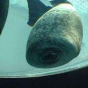 ヒメ日記 2025/12/06 21:08 投稿 ことね 熟女＆人妻＆ぽっちゃり倶楽部