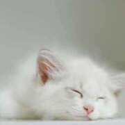 ヒメ日記 2025/12/30 23:22 投稿 ことね 熟女＆人妻＆ぽっちゃり倶楽部