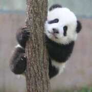 ヒメ日記 2025/12/31 01:18 投稿 ことね 熟女＆人妻＆ぽっちゃり倶楽部