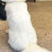 ヒメ日記 2025/06/23 13:34 投稿 まつり 完全密室 無抵抗