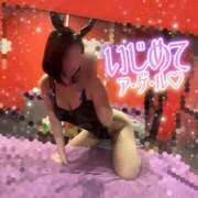 姫宮　あんな 😈ですか？いいえ。 OLセレクション宇都宮店