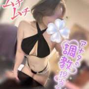 ヒメ日記 2026/08/03 15:50 投稿 姫宮　あんな OLセレクション宇都宮店