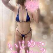 ヒメ日記 2026/09/04 09:59 投稿 姫宮　あんな OLセレクション宇都宮店