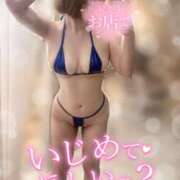 ヒメ日記 2026/10/12 23:32 投稿 姫宮　あんな OLセレクション宇都宮店