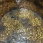 ヒメ日記 2025/03/29 02:11 投稿 こむぎ 熟女の風俗最終章 宇都宮店