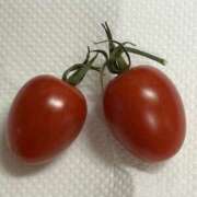 ヒメ日記 2025/07/04 12:41 投稿 こむぎ 熟女の風俗最終章 宇都宮店