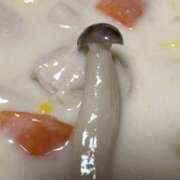 ヒメ日記 2025/12/03 22:11 投稿 こむぎ 熟女の風俗最終章 宇都宮店