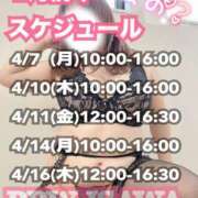 ヒメ日記 2025/04/04 13:34 投稿 石和～ISAWA～ BBW名古屋店