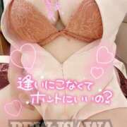 ヒメ日記 2025/04/20 14:35 投稿 石和～ISAWA～ BBW名古屋店