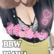 ヒメ日記 2025/04/29 09:52 投稿 石和～ISAWA～ BBW名古屋店