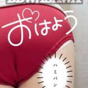 ヒメ日記 2025/06/03 07:20 投稿 石和～ISAWA～ BBW名古屋店