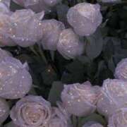 ヒメ日記 2024/12/18 16:25 投稿 地元産/るり PREMIUMー萌ー