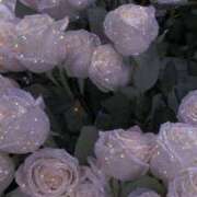 ヒメ日記 2024/12/19 12:45 投稿 地元産/るり PREMIUMー萌ー