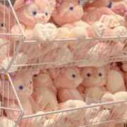 ヒメ日記 2025/02/18 15:55 投稿 地元産/るり PREMIUMー萌ー