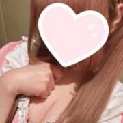 ヒメ日記 2025/03/15 12:28 投稿 しずく ラズベリードール